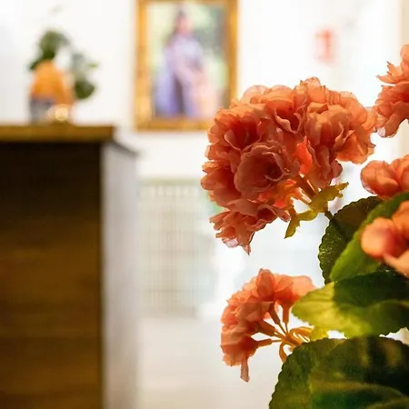 Boutique Andalucia 2*